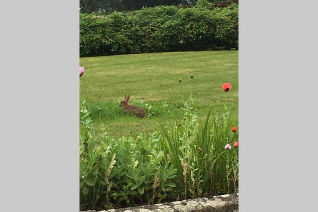 Stay On The Grounds Of This Beautiful Manor House Wimborne Minster Eksteriør billede