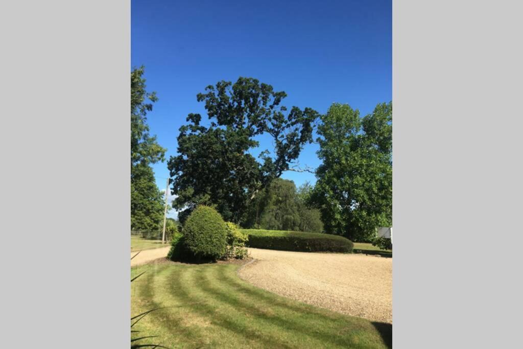 Stay On The Grounds Of This Beautiful Manor House Wimborne Minster Eksteriør billede