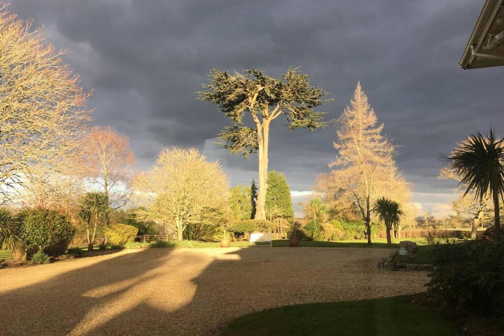 Stay On The Grounds Of This Beautiful Manor House Wimborne Minster Eksteriør billede