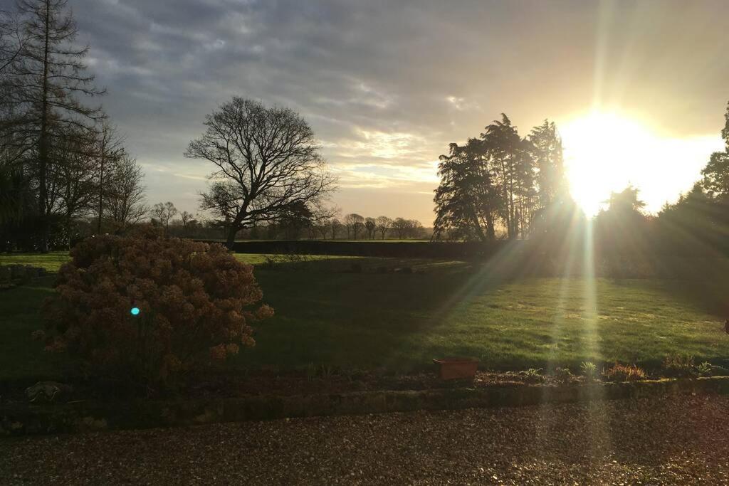 Stay On The Grounds Of This Beautiful Manor House Wimborne Minster Eksteriør billede